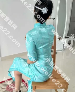 包头东河美脚旗袍少妇